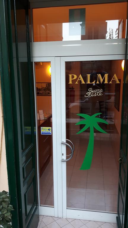 Palma 2*